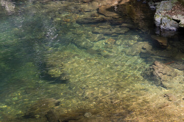 Scenery around Minoh Park in Osaka,Japan.The water in the river is clean. 