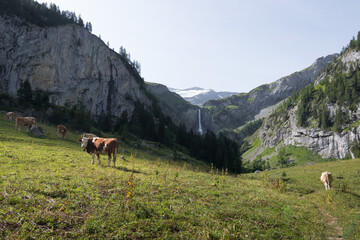 Geltenschuss, Lauenen, Bern, Schweiz