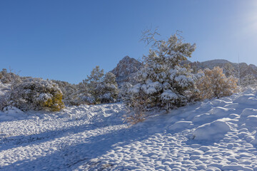 Snow Covered Winter Scenic Landscape in Sedona Arizona