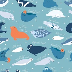 Cute seals or all pinnipeds flat vector pattern