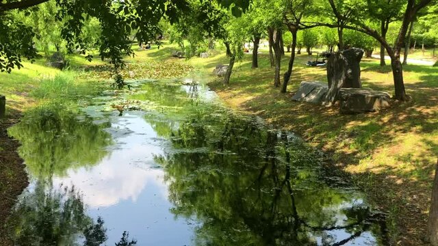 summer in the park
