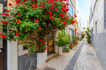 Red flowers and other plants decorating the narrow street of Olhao, Portugal