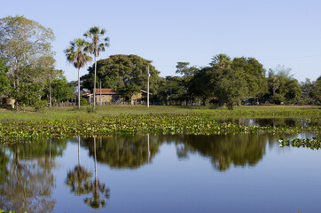 Pantanal, Brazil.