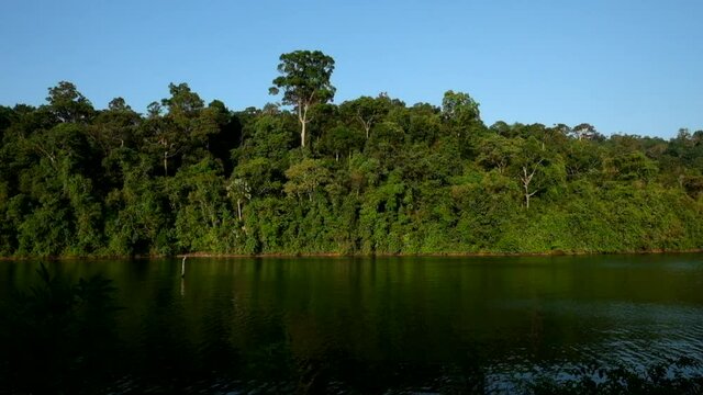 a beautiful nature environment near the lake in Kedah Malaysia