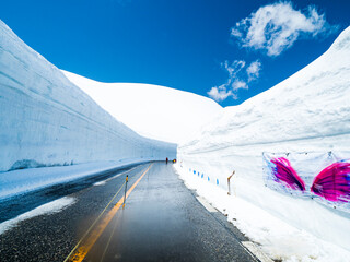 【富山】雪の大谷ウォーク 青空