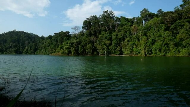 a beautiful nature environment near the lake in Kedah Malaysia
