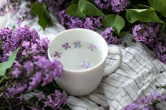 Wiosenne bzy na białym tle z filiżanka wody. 