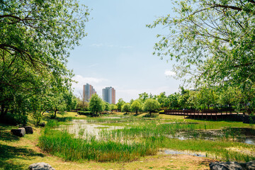 Spring of Bonghwangdae Park in Gimhae, Korea