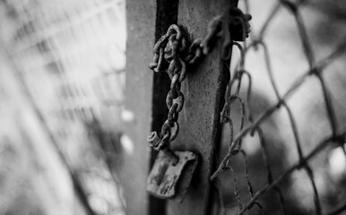 Gate closed on the lock on a rusty chain. A gate closed on the lock.