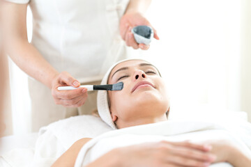 Obraz na płótnie Canvas Young beautiful woman healthy spa treatment. Beautician doing facial mask.