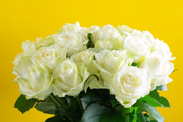 Bouquet of white roses in vase. Fresh Flowers in vase