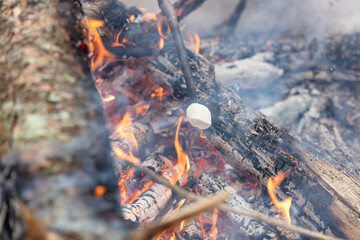 Guimauve au dessus d'un feu de camp dans la neige