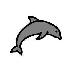 dolphin ocean color icon vector. dolphin ocean sign. isolated symbol illustration