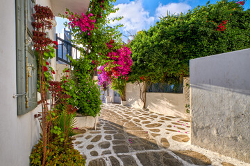 Beautiful traditional streets of Greek island towns. Whitewashed houses, bougainvillea in blossom, greenery, flower pots, cobblestone. Mykonos, Greece