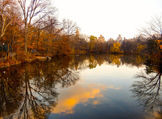Fototapeta na wymiar Reflection of the forest in a lake in autumn Central Park