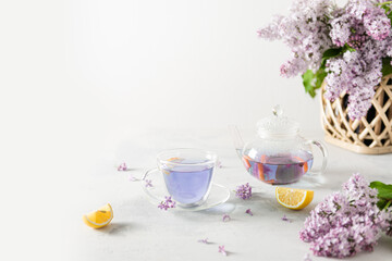 Spring composition with a cup of purple tea, teapot and lilac flowers on light background. Spring tea party, tea drinking. Menu, greeting card. Side view, copy space, product place