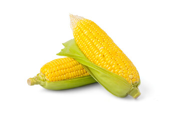Fresh sweet corn with husk isolated on white background