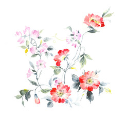 Flowers watercolor illustration.Manual composition.Big Set watercolor elements，Design for textile, wallpapers，Element for design,Greeting card
