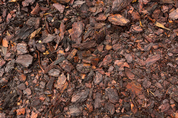 Texture. Woodworking waste. Heaps of chips, bark, pieces and sawdust.