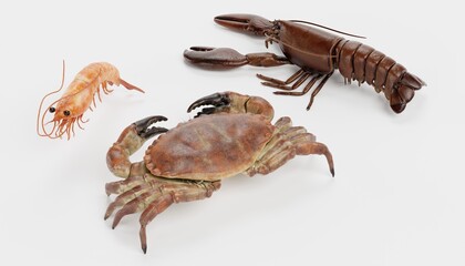 Realistic 3D Render of Crustacean (Edible)