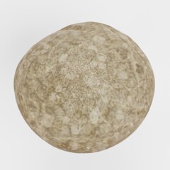 Realistic 3D Render of Mushroom