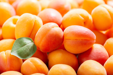fresh apricots with leaves as background
