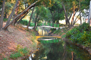 a water stream flowing between a forest with green tress and a bridge connecting it.