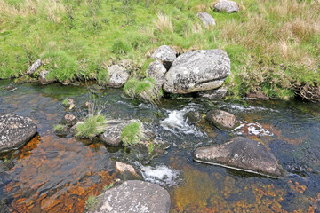 Fototapeta na wymiar West Dart River in Dartmoor, Devon 