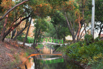 beautiful river covered with green trees during autumn season