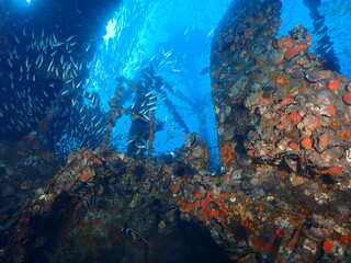 Shipwreck Mast underwater 