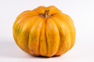 Whole fresh orange big pumpkin on white background, closeup. Organic agricultural product, ingredients for cooking, healthy food vegan.