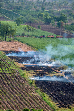 Stubble Burning In An Open Agricultural Field At Uruli Near Pune India.