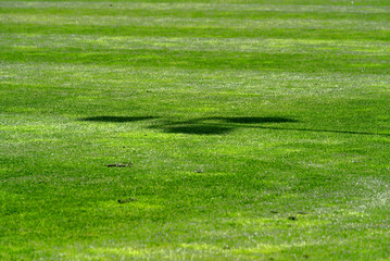 Close-up of fresh mowed football field at springtime with shadow of spotlights. Photo taken May 27th, 2021, Zurich, Switzerland.
