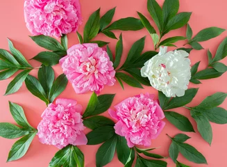 Selbstklebende Fototapeten fresh pink and white peony with green leaves on pink pastel background. jungle tropical summer gardening flat lay. abstract art © Jelena