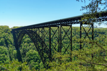 Fototapeta na wymiar Span of the New River Gorge Bridge with pine tree foreground