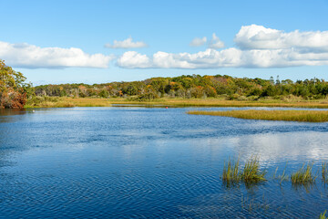 Pond in a coastal marsh surrounded by deciduos woods on a clear autumn day. Cape Cod, MA, USA.