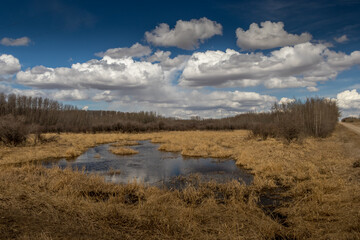 Innisfail Natural Area. Red Deer County, Alberta, Canada