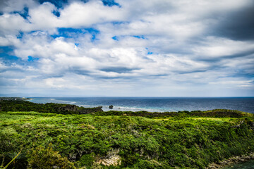 Fototapeta na wymiar 沖縄の海と空と植物