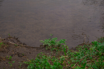 nature of Russia spring river