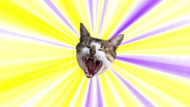 Animation art. Looping graphic animation. The head of a cat in tunnel colour space
