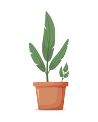Homemade indoor green plant with long leaves without flowers in large clay pot. Plant element of the interior for home, office, cafe, restaurant. Cartoon vector illustration isolated, white background