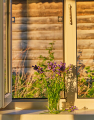 A bouquet of violet wildflowers lit by sunlight on a white window sill in a farmhouse. Dracocechalum ruyshiana