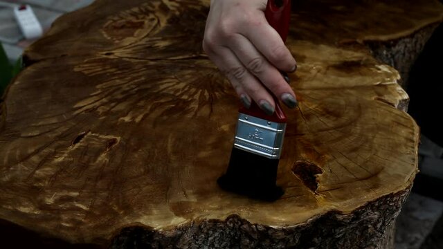 Close up of wood slab which is covered with a protective varnish in the carpenter's shop, the woman paints the paint on a wooden surface. Deep etching of wood before painting.