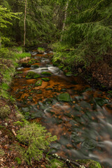 Skrivan color creek in Krusne mountains in spring morning after rain