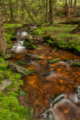 Skrivan color creek in Krusne mountains in spring morning after rain