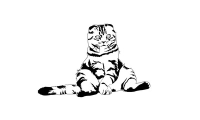black and white cat vector