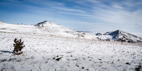 Snowy expanses of the Tazheran steppe