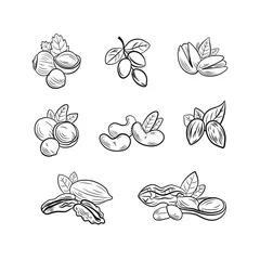 Fotobehang Vector set of outline black and white nut drawings, illustration templates, icons isolated on white background.  © Nikita