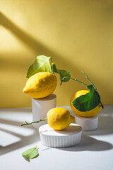 Citrus fruits conceptual creative  still life  in white stands and podiums in the yellow background...