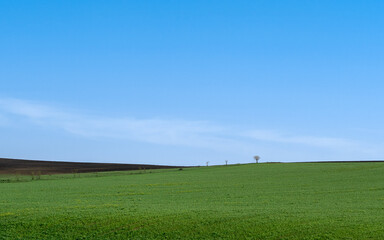 Green nature of Georgia travel ecotourism for health